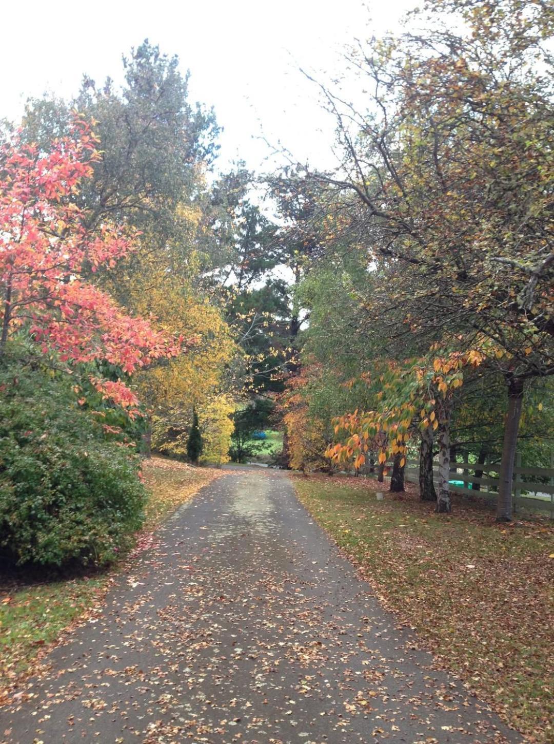 Crabtree House Bed & Breakfast Grove Exterior photo