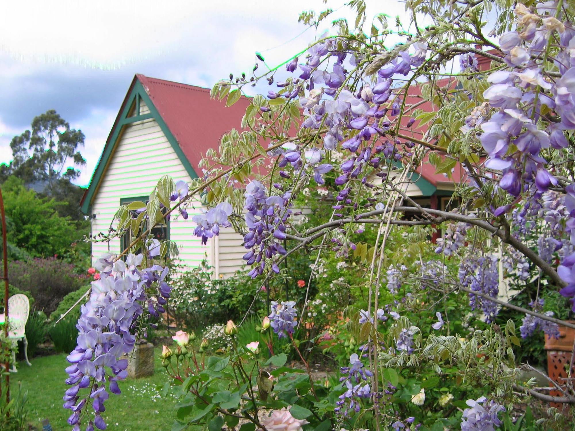 Crabtree House Bed & Breakfast Grove Exterior photo