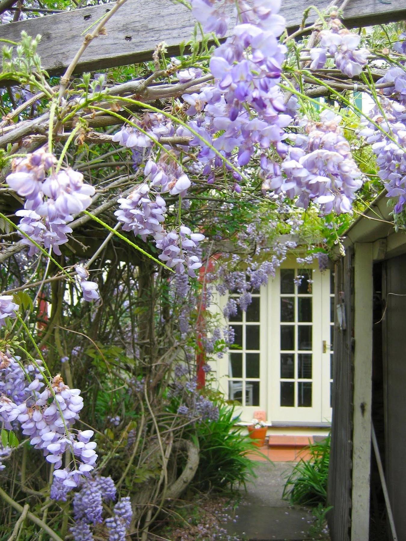 Crabtree House Bed & Breakfast Grove Exterior photo