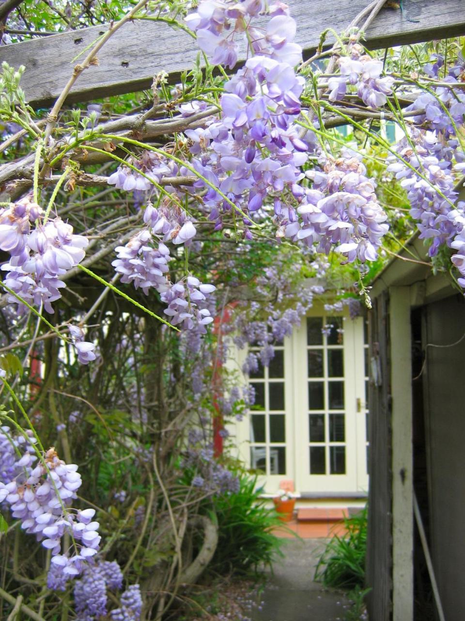 Crabtree House Bed & Breakfast Grove Exterior photo